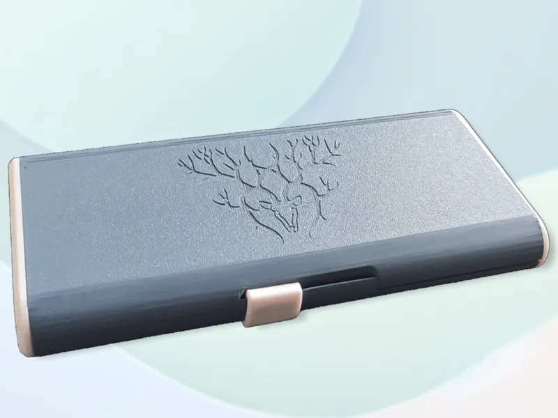 Insuline Pen and Needles case