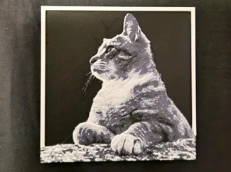 Cat side profile 3d/2d picture small with frame