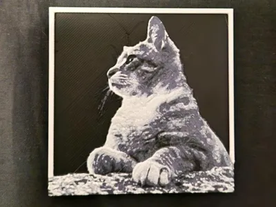 Cat side profile 3d/2d picture small with frame