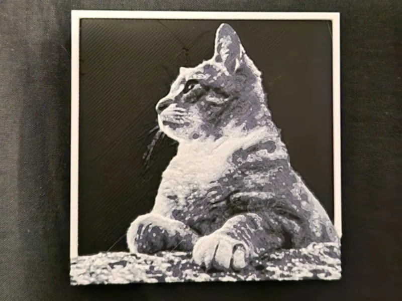 Cat side profile 3d/2d picture small with frame