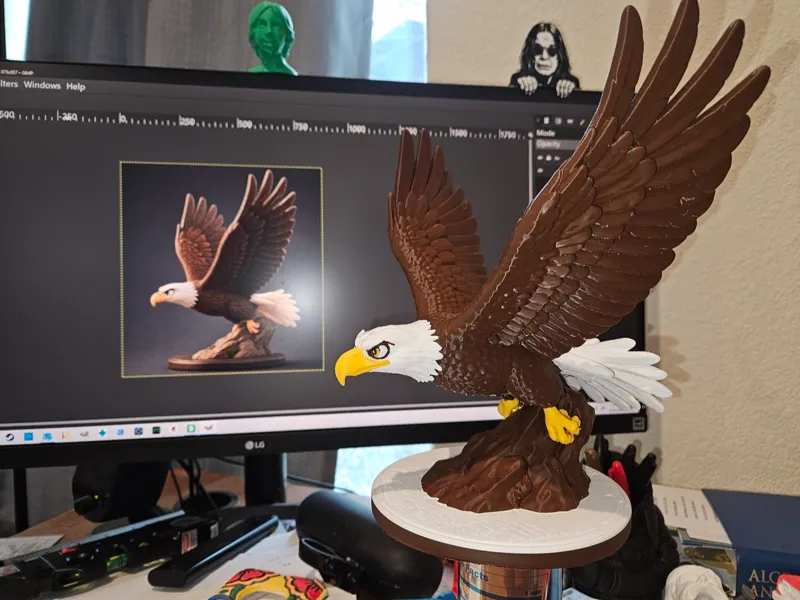 Bald Eagle in Flight