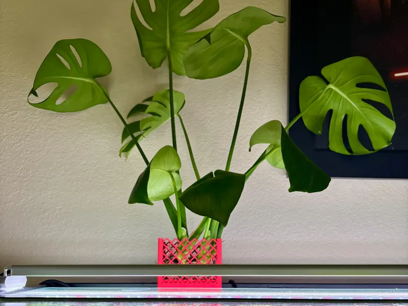 AquaCrown — Hydroponic Aquarium Plant Holder