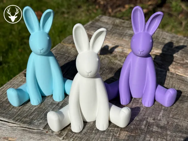 https://makerworld.bblmw.com/makerworld/model/USa69f6e64c75423/design/2025-03-15_c1653dc68254d.png