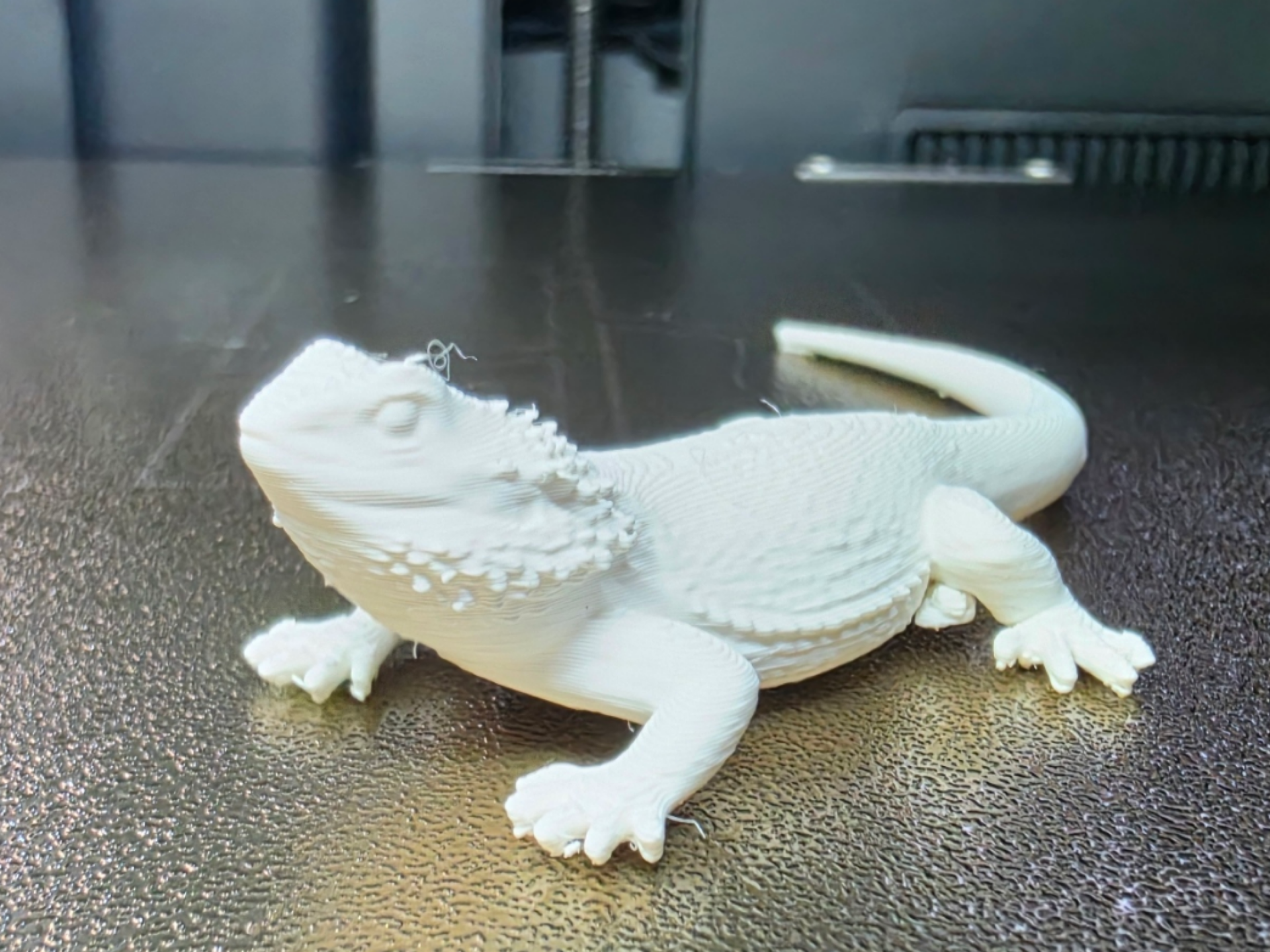 Realistic Bearded Dragon – Detailed Lizard
