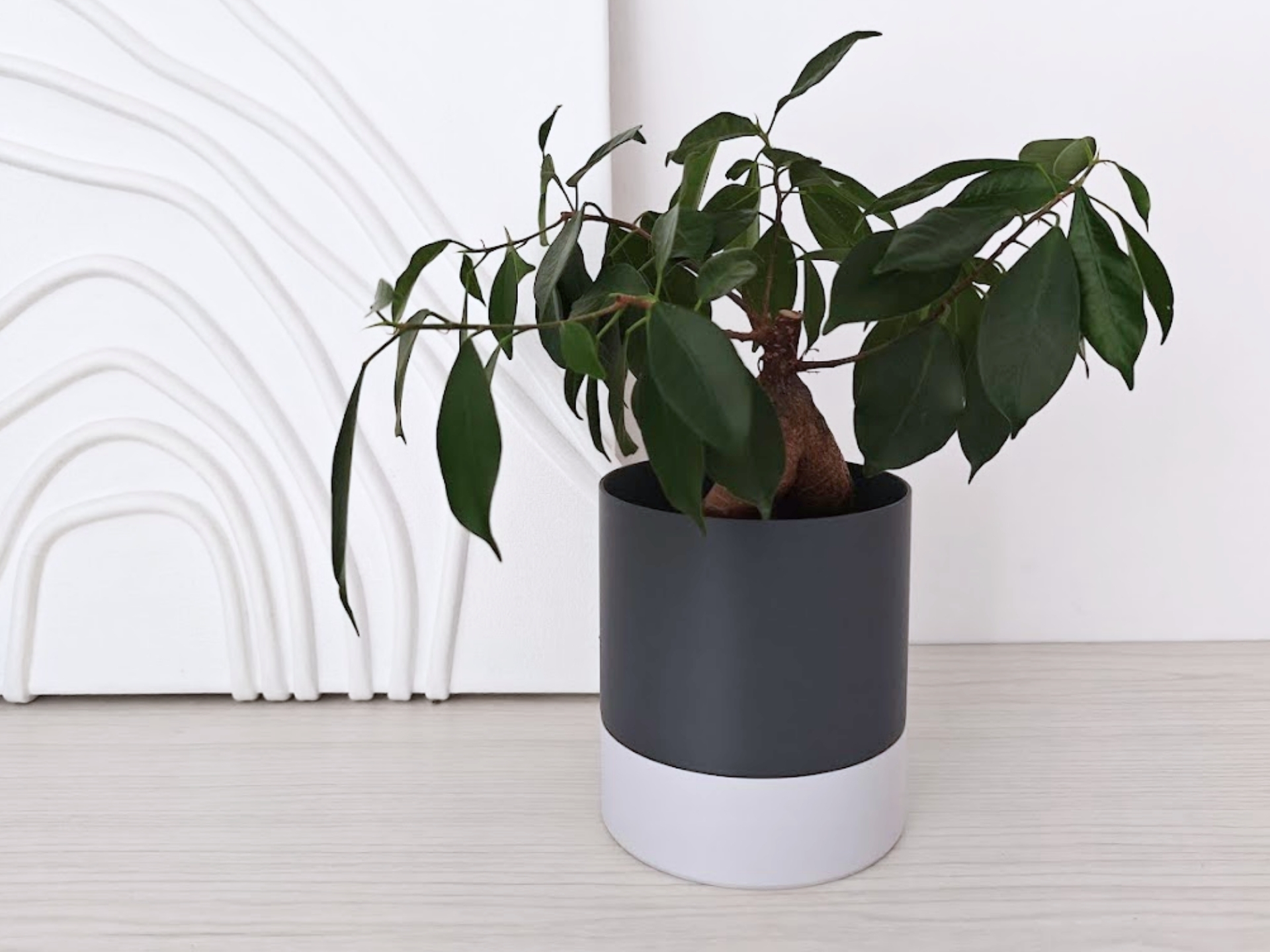 Parametric round self-watering planter