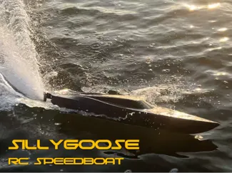 SillyGoose RC Speedboat