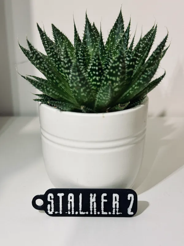 https://makerworld.bblmw.com/makerworld/model/USa6a418a1ce576e/design/2025-01-04_1afa389544917.jpg