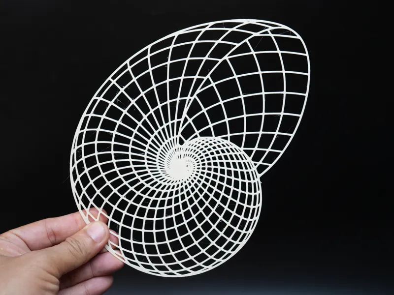 Twisted Spiral Wireframe Illusion