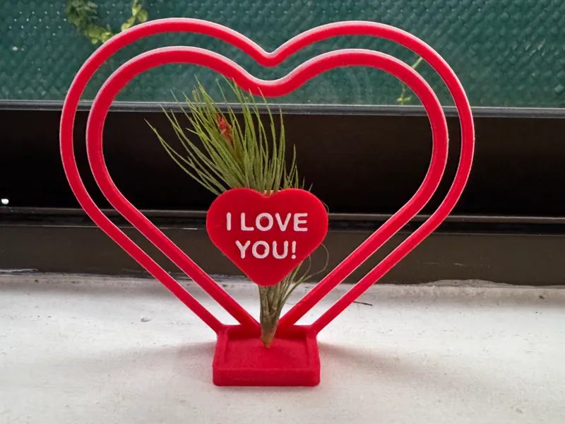 Heart Shape Air plant holder