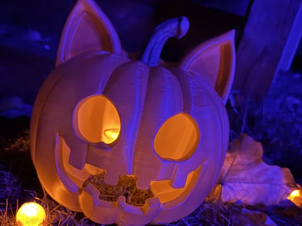 https://makerworld.bblmw.com/makerworld/model/USa6a6c58694430a/design/2025-10-08_5db8e5a85e902.jpg