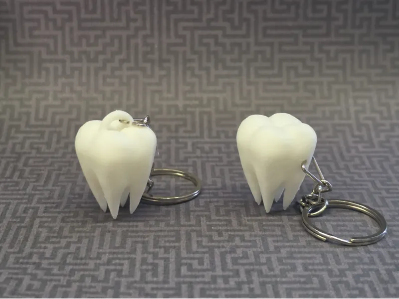 Tooth Keychain (2 Variations)