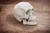 P2S - 0.24mm layer, 2 walls, 15% infill