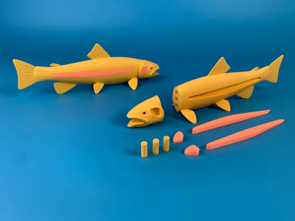 https://makerworld.bblmw.com/makerworld/model/USa6af4a9d2103c5/design/2024-06-28_bf1343326cde1.jpg