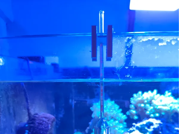 https://makerworld.bblmw.com/makerworld/model/USa6b223a5a4bec4/design/2025-11-28_518b00611a0728.jpg
