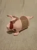 Coaster Holder - No AMS