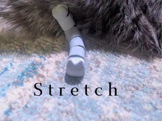 cat flexi fidget