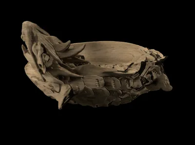 dragon bowl