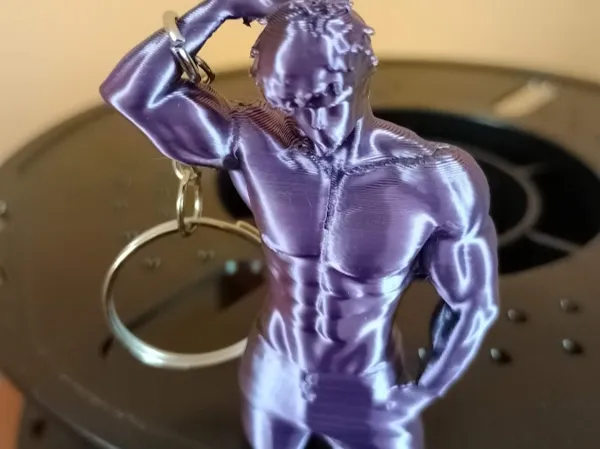 https://makerworld.bblmw.com/makerworld/model/USa6bfc0ae6286b9/design/2025-01-11_5edaf12af4009.jpg