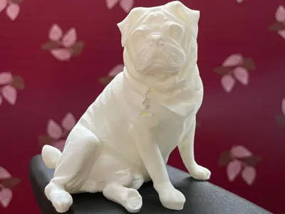 Pug - Bruno