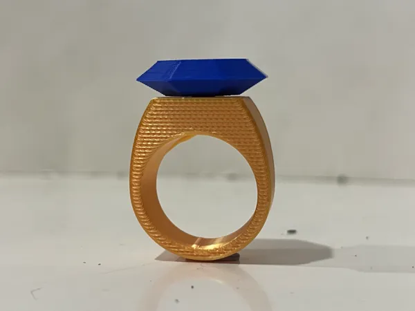 https://makerworld.bblmw.com/makerworld/model/USa6c1187e87c7d8/design/a76c561ec527412a.jpeg