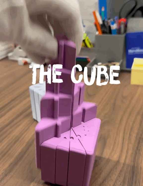 https://makerworld.bblmw.com/makerworld/model/USa6c16460386627/design/29af910088df0c7e.gif