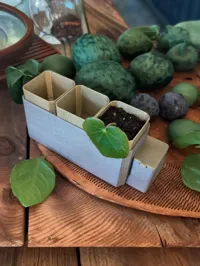 Petit pot de démarrage à arrosage automatique — photo 4