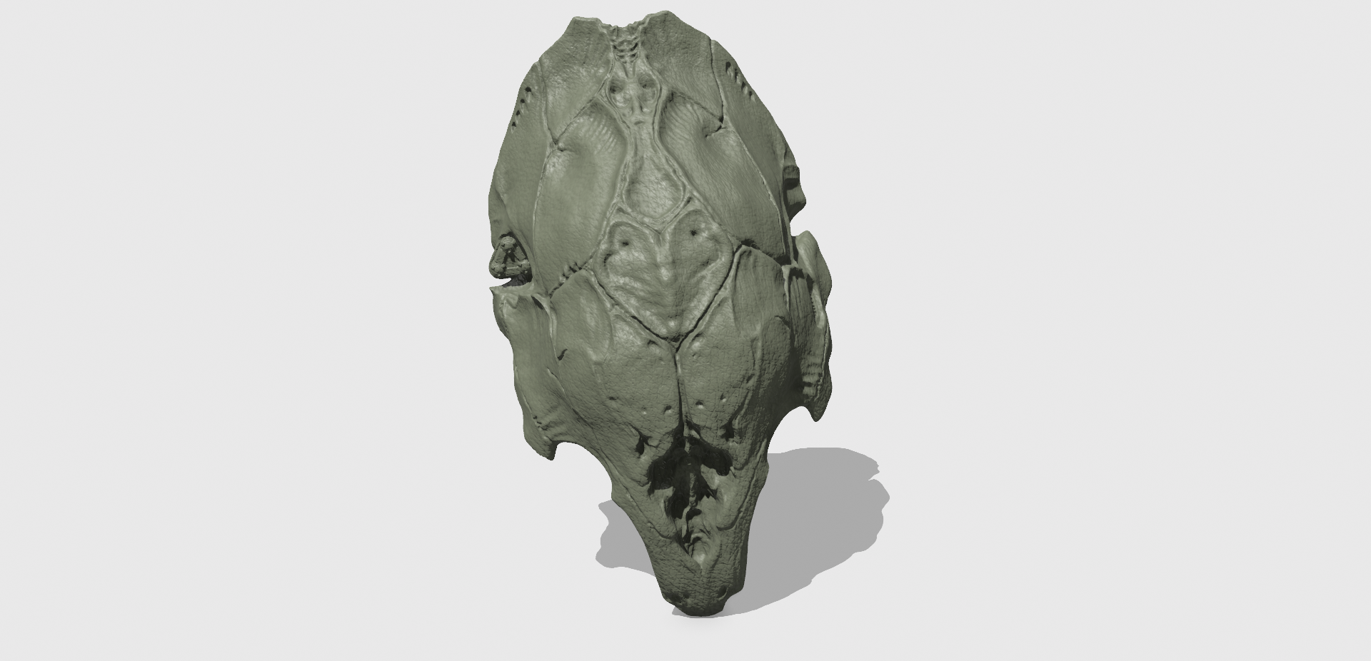 Miniatura 3 do modelo 3D 铁血战士