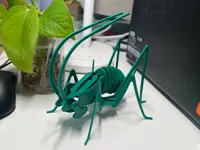 0.2mm 层高, 2 层墙, 15% 填充
