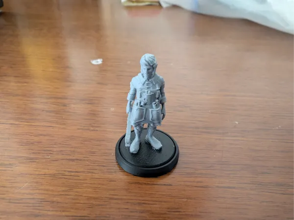 https://makerworld.bblmw.com/makerworld/model/USa6c8966a3aaf3b/design/2025-01-18_f56fd2ec23f37.jpg