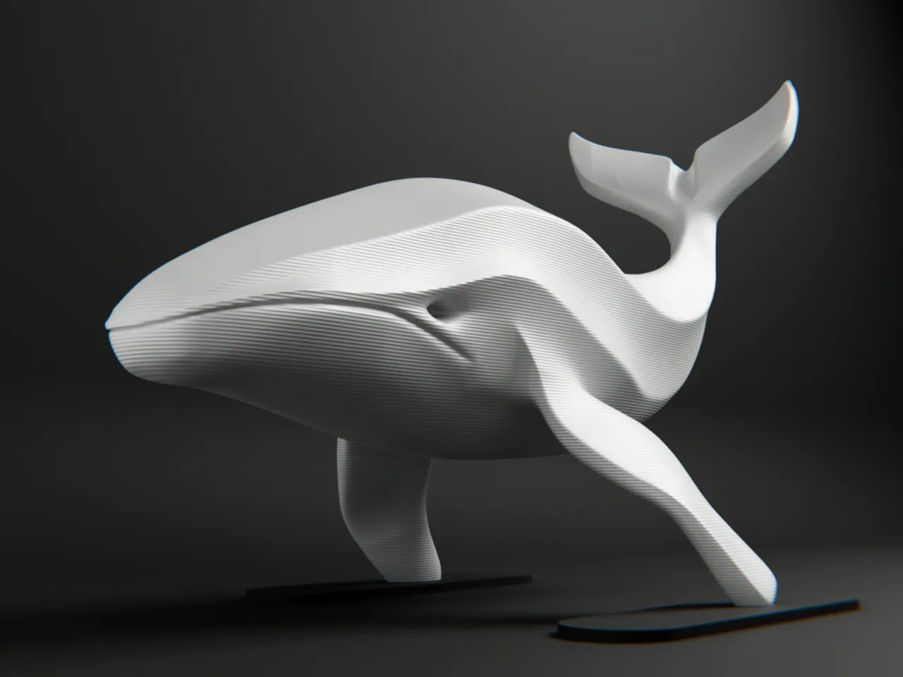 Whale view 2