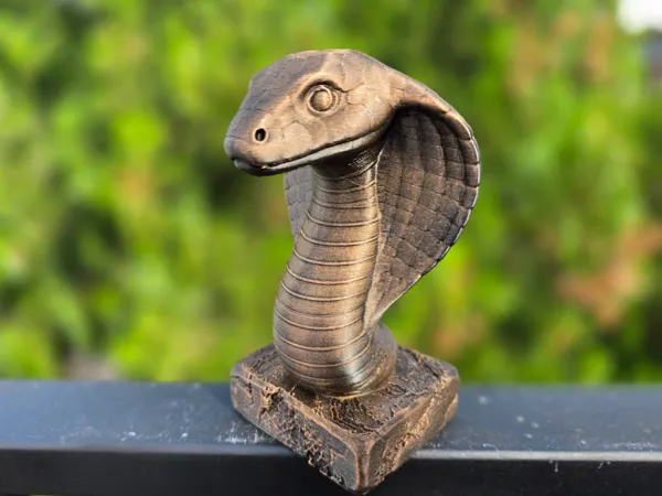https://makerworld.bblmw.com/makerworld/model/USa6cb0f6646c50a/design/2025-08-18_f483295d8a96b8.jpg
