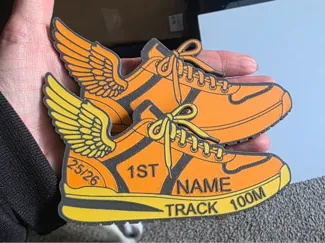 TRACK SHOE WITH WING