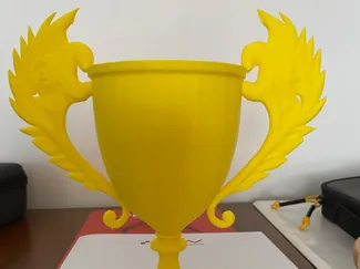 Winner cup