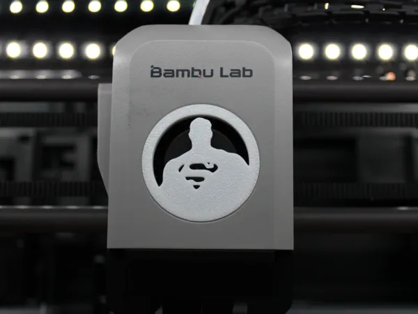 https://makerworld.bblmw.com/makerworld/model/USa6cf68744d18a3/design/2025-09-01_7ddf814a66c41.jpg