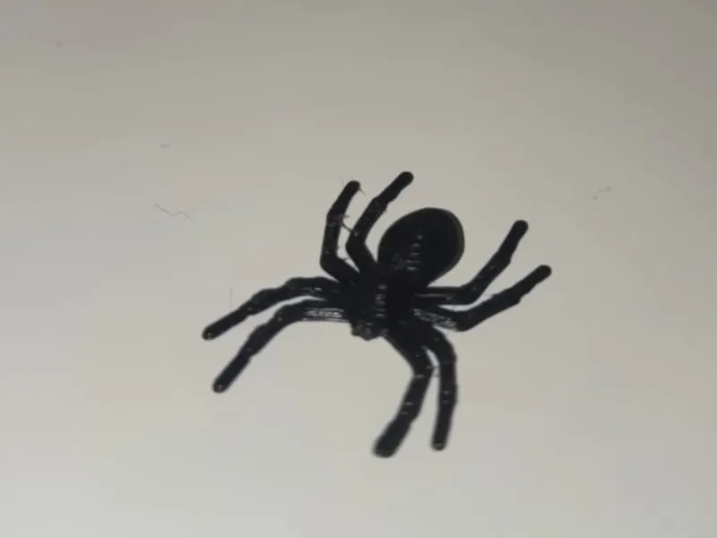 halloween araña decoración
