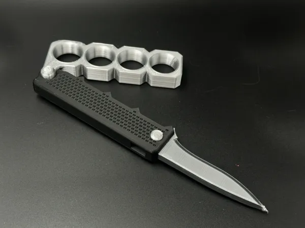 https://makerworld.bblmw.com/makerworld/model/USa6d0a4fa18fcc1/design/2025-04-13_dff61e4e356028.jpg