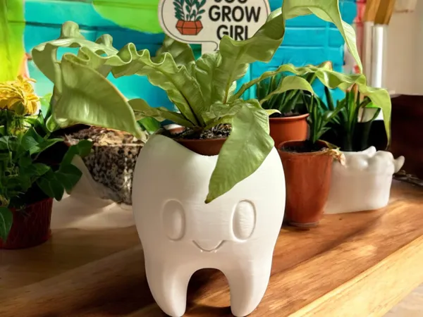 https://makerworld.bblmw.com/makerworld/model/USa6d2b0b4a453df/design/2025-06-25_c2a1e98cf895b.jpeg