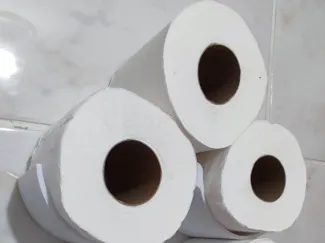 A wall mounted holder for toilet papers