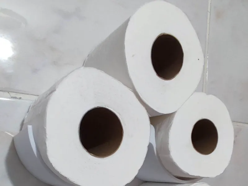 A wall mounted holder for toilet papers