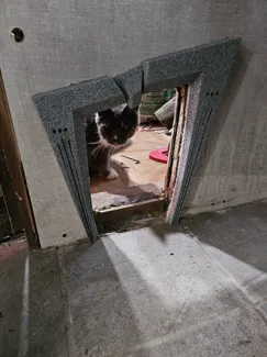 BeetleJuice Themed Cat Door
