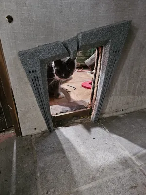 BeetleJuice Themed Cat Door