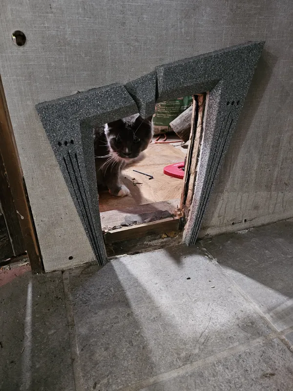 BeetleJuice Themed Cat Door
