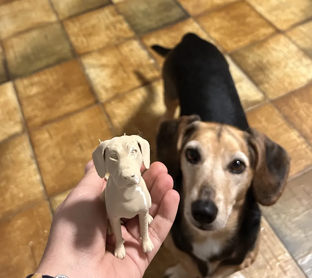 LIFE in 3D - Free 3D Print Model - MakerWorld