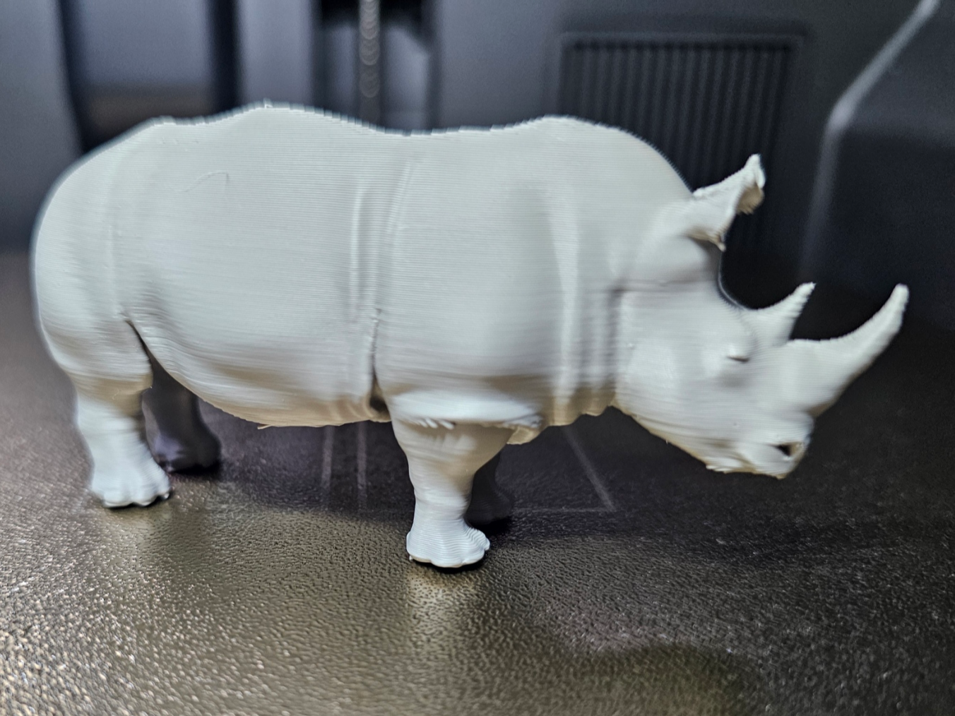 Breitmaulnashorn -  Tiere aus aller Welt