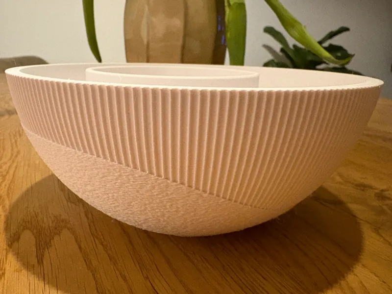 Smart Snack Bowl – No More Shell Mess