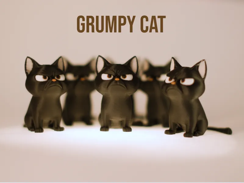 Grumpy Cat