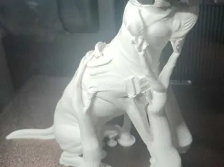 american pitbull 