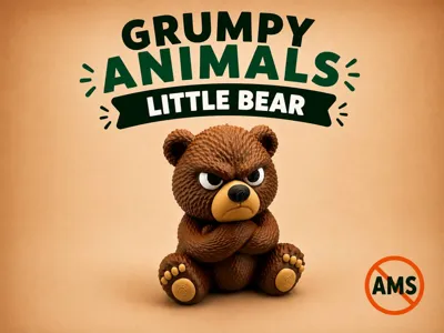 Grumpy Little Bear