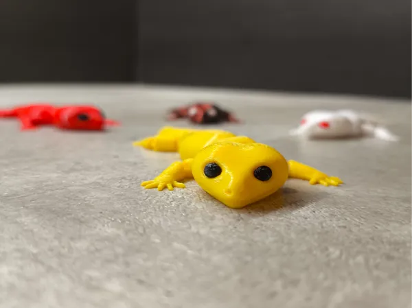 https://makerworld.bblmw.com/makerworld/model/USa6e6f912b3201f/design/2025-01-28_e54a558a012f.jpg