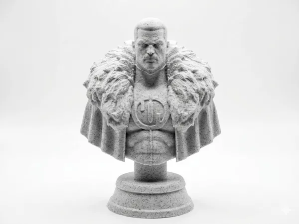 https://makerworld.bblmw.com/makerworld/model/USa6e9a069ed956a/design/3eaacf80ac193e73.jpg